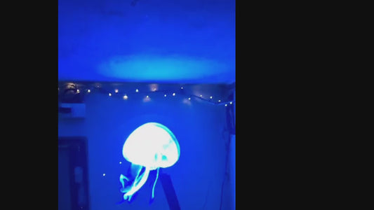 Led Fan 3d